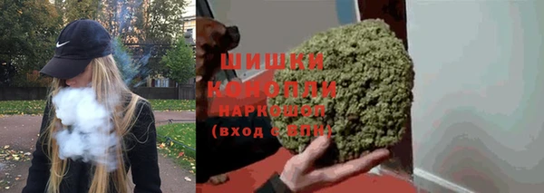 дживик Майский