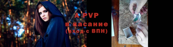 гидра Лихославль