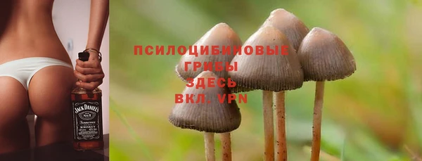 альфа пвп Липки