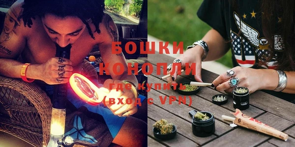 гидра Лихославль