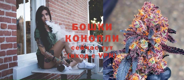 гидра Лихославль