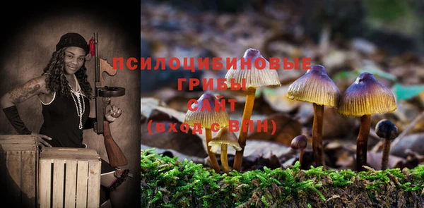 дживик Майский