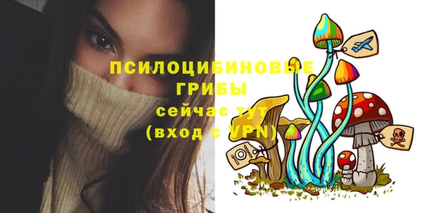 гидра Лихославль
