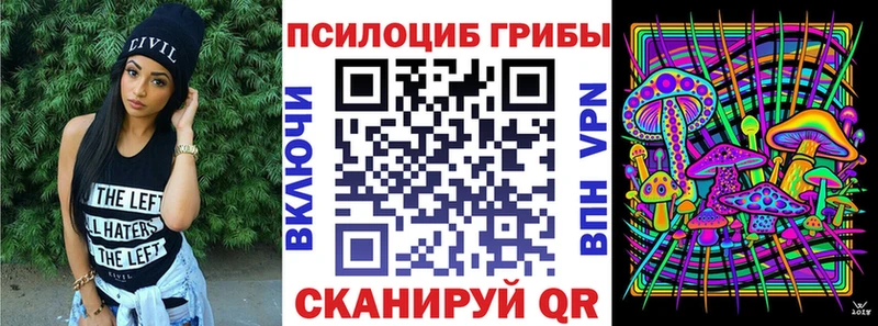 Купить закладки  Мышкин  Галлюциногенные грибы мухоморы 